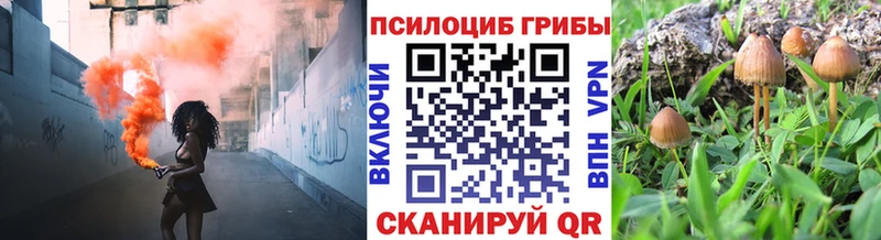 Псилоцибиновые грибы MAGIC MUSHROOMS  MEGA tor  Коркино 