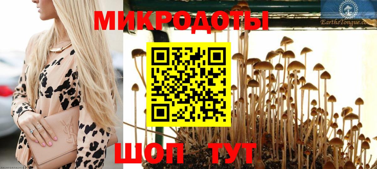 Галлюциногенные грибы Cubensis Коркино
