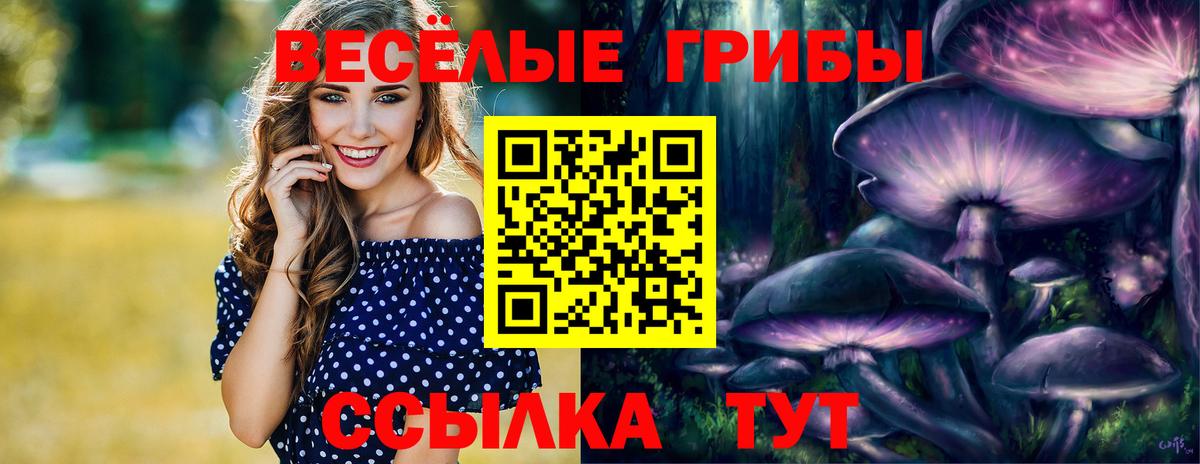 Псилоцибиновые грибы MAGIC MUSHROOMS  Вход с VPN  Коркино  Галлюциногенные грибы Magic Shrooms 